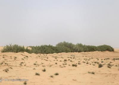 30 درصد به مناطق بیابانی کشور اضافه شده است