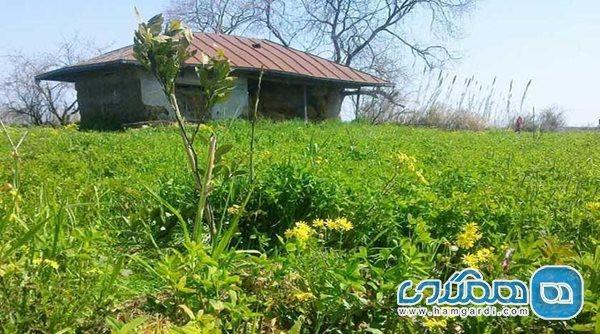 روستای گالشکلا یکی از جاذبه های گردشگری بابلسر است روستای گالشکلا یکی از جاذبه های گردشگری بابلسر است